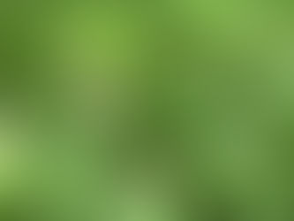 Why All-Natural, Single-Ingredient Dog Treats Are the Healthiest Choice for Your Dog