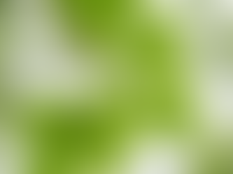 Slippery Elm: An Essential Herb For Everyone’s Medicine Cabinet