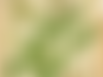 Astragalus: From Garden to Medicine Cabinet