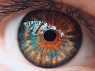 The Dharani For Purifying Eye Diseases