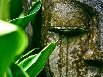 The Dharanis for Attaining the Four Immeasurables