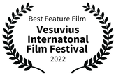 Best Feature Film  - Vesuvius Internatonal Film Festival  - 2022.png