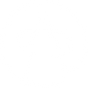 WHITE INSIGNIA.png