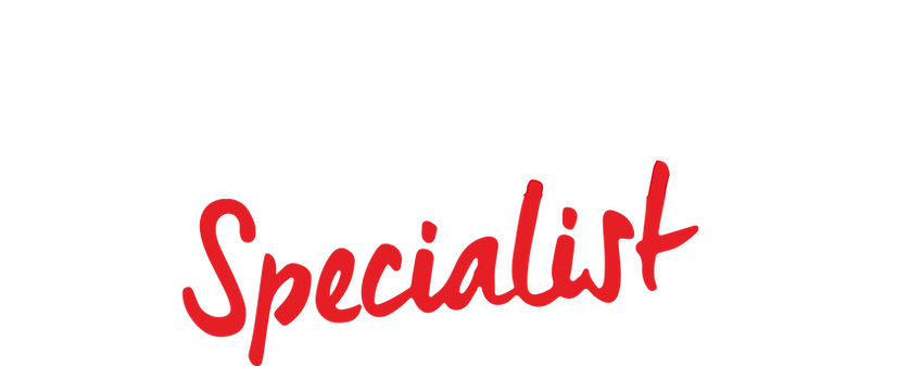 Euro Engine's Specialist