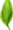 Basil Leaf.png