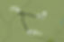 Mapa.jpg