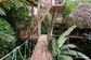 Wooden bridge and stairs leading to tree house