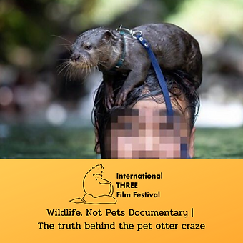 Not Pets Documentary .png