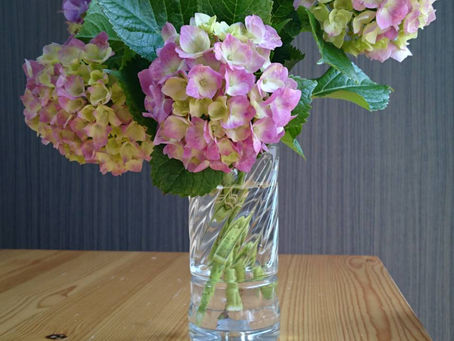 6月といえば・・・