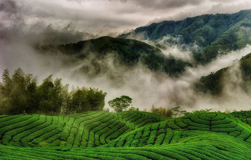 OOTY I NIGHT 2 DAYS TOUR PACKAGE