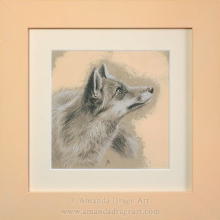 Drawing of a Fox in a light pastel peach frame