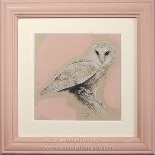Drawing of a Barn Owl in pink frame