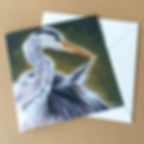Preening Grey Heron Greeting Card