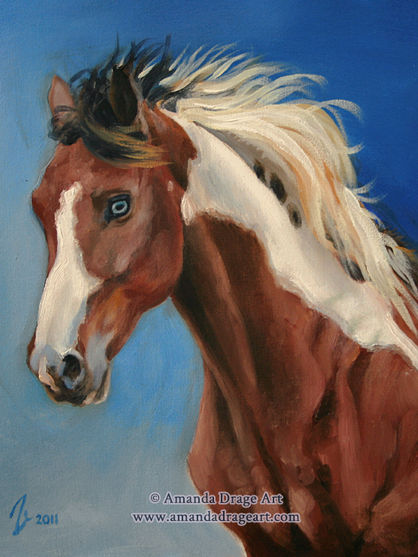 Oil painting of a paint horse by Amanda Drage Art