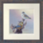 Thumbnail: "Greenfinch Pair" Limited Edition Print