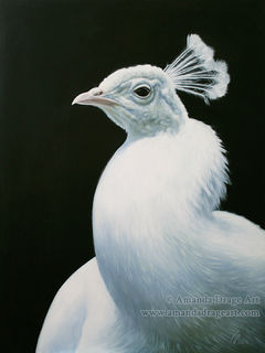 Oil painting of a white peacock