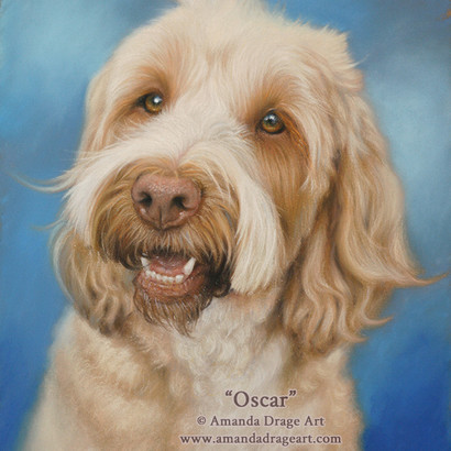 Golden Blonde Cockapoo Pastel Portrait