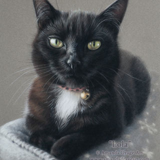 Black Cat Pet Portrait in Pastel