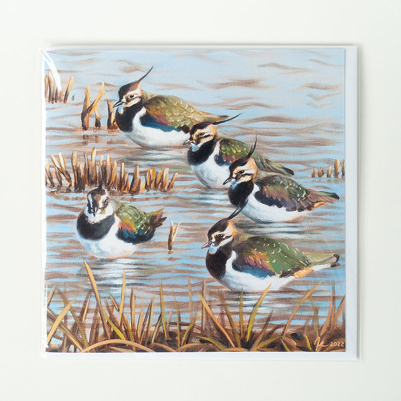 Thumbnail: Resting Lapwing Birds Greeting Card