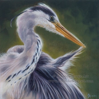 Heron Preening Oil Painting