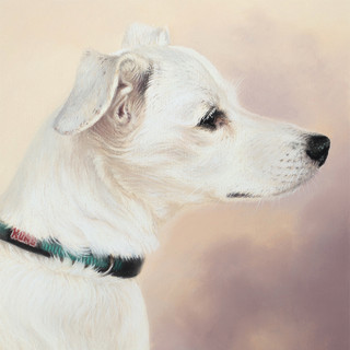 White Terrier Mixed Breed Dog Pastel Portrait
