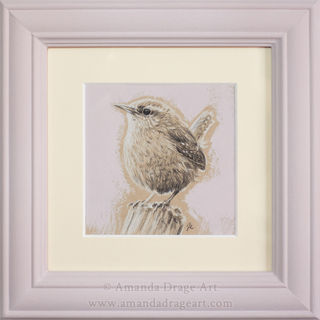 Drawing of a Wren in pale lilac frame