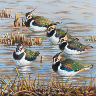 Lapwings Oil Painting