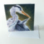Thumbnail: Preening Grey Heron Greeting Card