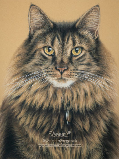 Pastel portrait of a tabby cat on velour paper