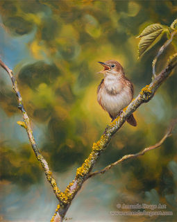 Oil painting of a nightingale