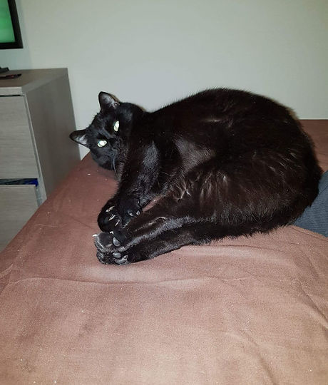 cachou (8).jpg