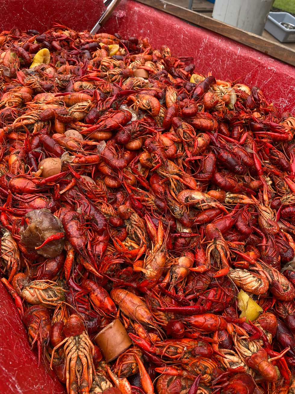Boiled Crawfish