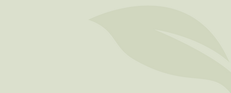leaf bg_edited.png
