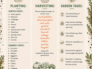 AUGUST Planting Month