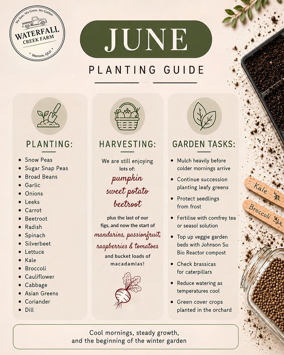 Scenic Rim Qld June Planting Guide 