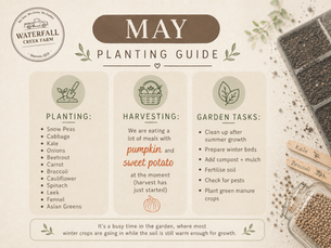 Scenic Rim May Planting Guide