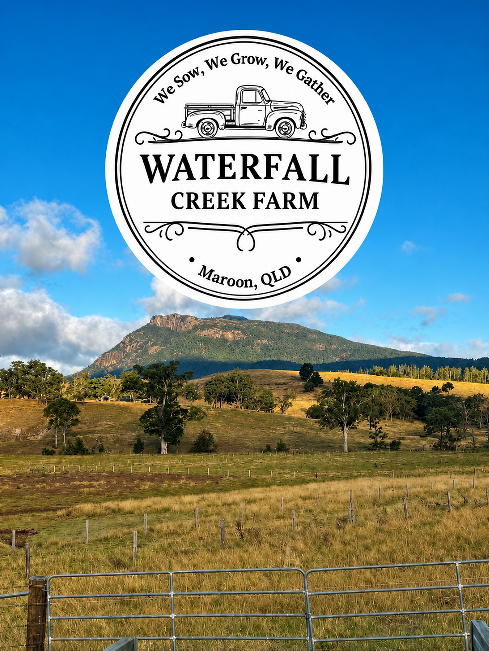 Rolling hills surrounding Waterfall Creek Farm in Maroon, Scenic Rim, Queensland.