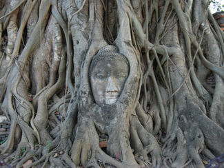 Artistic Identity: Finding the Thread (a natural next step)