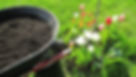 Wheel barrow filled with black composted