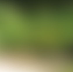 Friends of Horicon Marsh Annual Plant Sale