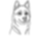 tobi line art.png