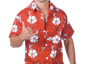 Hawaiiantology