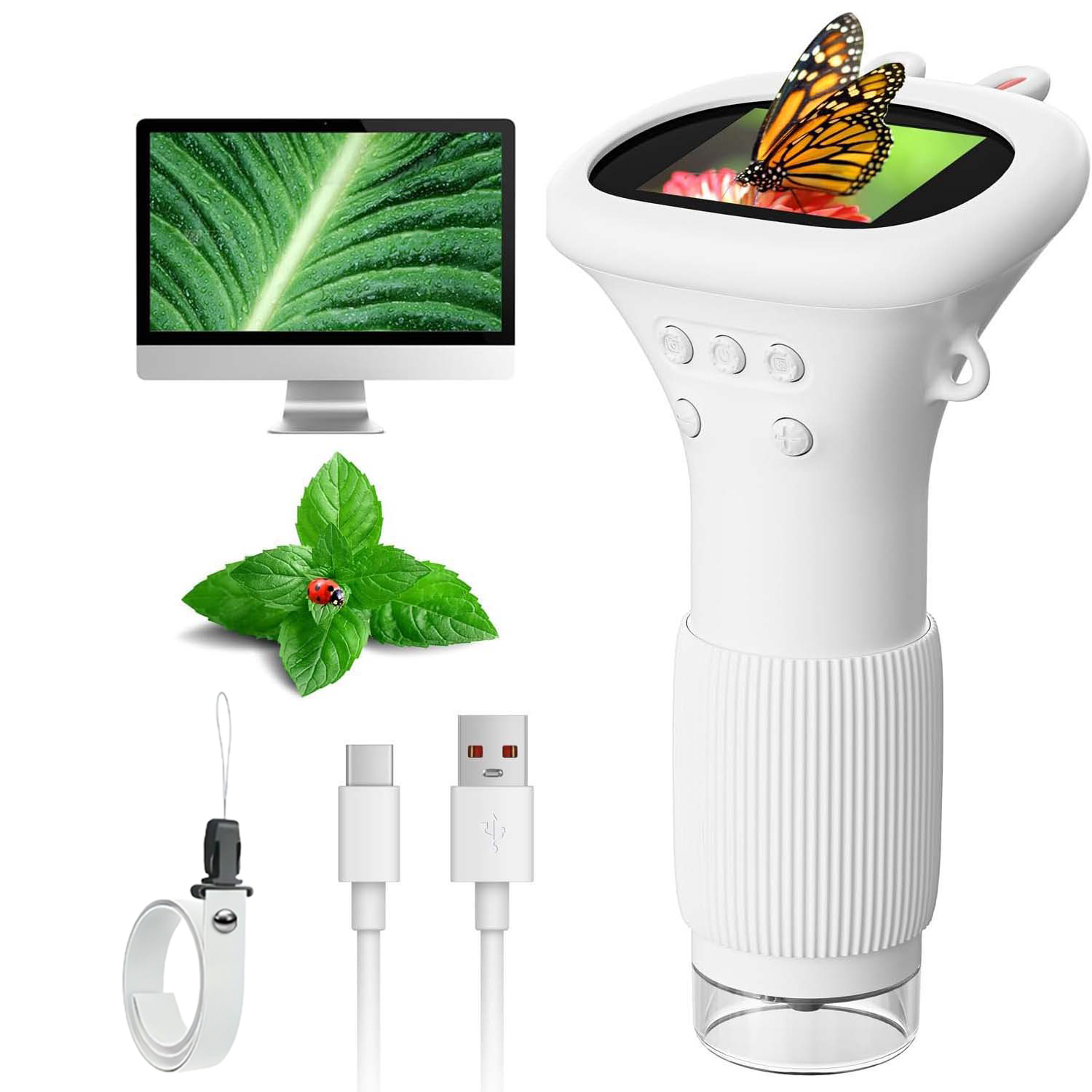 USB Digital Microscope - 1000x