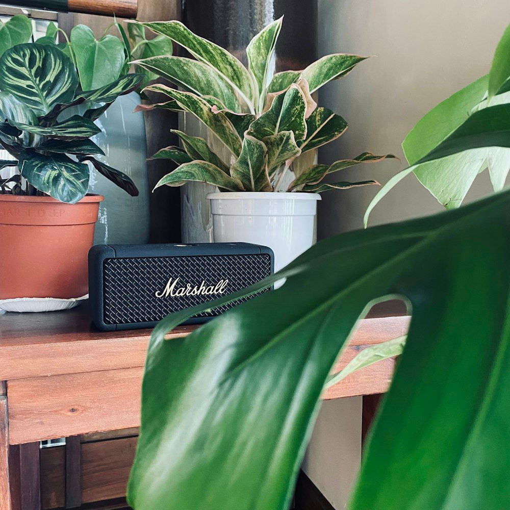 Vinyl Turntable with Built-in Speakers