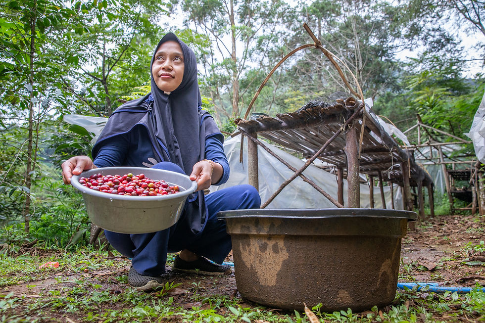 Thumbnail: indonesia | poda women's group 🇮🇩