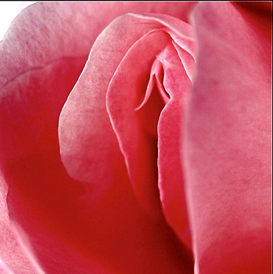 Rosen Tempel 2.png