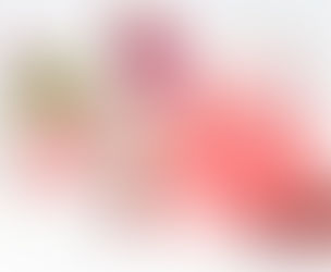 Premium Rosa Damascena Extracts Supplier in bay of plenty