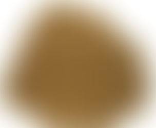 Premium Sida cordifolia Extracts Supplier in bay of plenty