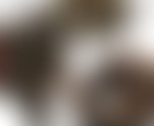 Sapindus Trifoliatus (Reetha)