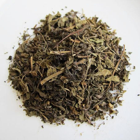 Ocimum Sanctum (Tulsi) Manufacturer & Spa Wellness Partner in India